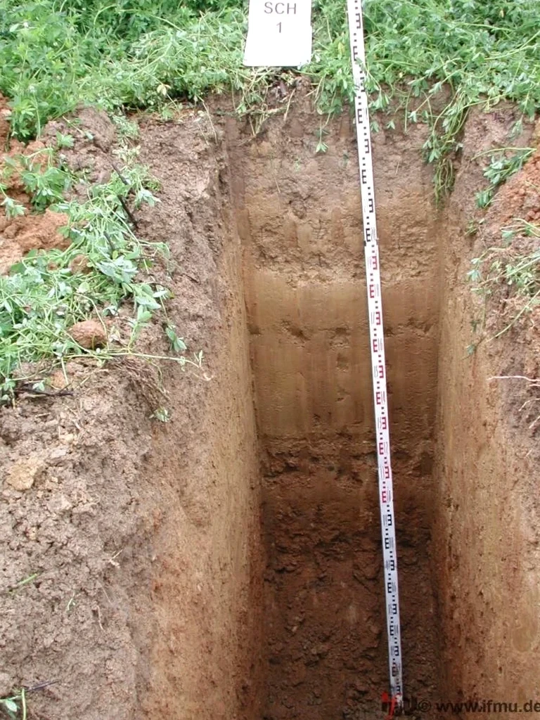 Exploratory Test Pit Services in Washington DC